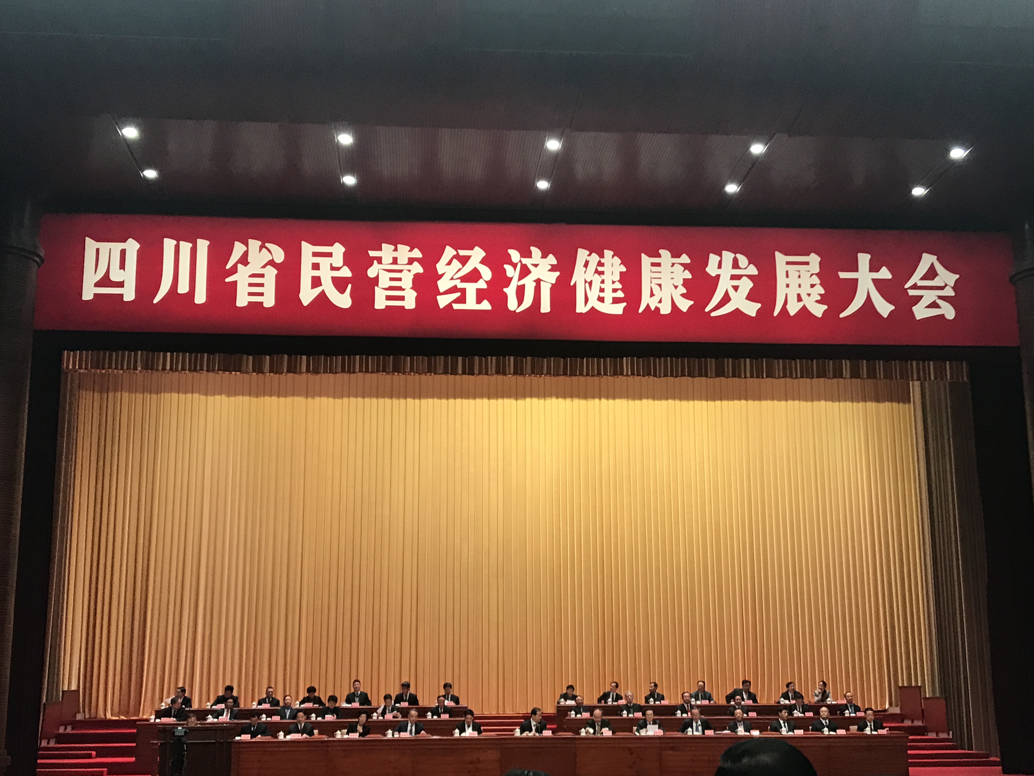 “帆舟食品”參加四川省民營(yíng)企業(yè)經(jīng)濟健康發(fā)展大會(huì )